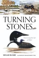 Turning Stones af Declan McCabe