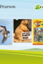 Bug Club Independent White Pack 2023 (17 books)