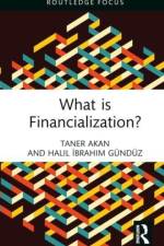 What is Financialization? af Taner Akan