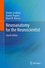Neuroanatomy for the Neuroscientist af Stanley Jacobson