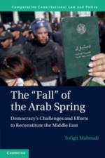 The 'Fall' of the Arab Spring af Tofigh (Loyola University Maboudi