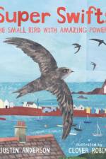 Super Swifts: The Small Bird With Amazing Powers