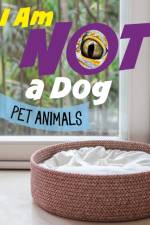 I Am Not a Dog