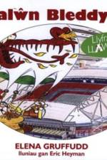 Cyfres Llyfrau Llawen: 13. Balwn Bleddyn af Elena Gruffudd