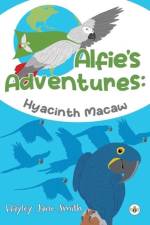 Alfie's Adventures - Hyacinth Macaw af Hayley Jane Smith