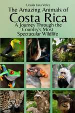 The Amazing Animals of Costa Rica af Ursula Lina Velez