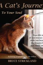A Cat's Journey To Your Soul af Bruce Strickland