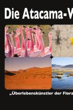 Die Atacama-Wüste af Sr. Fotolulu