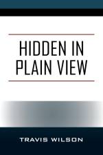 Hidden in Plain View af Travis Wilson
