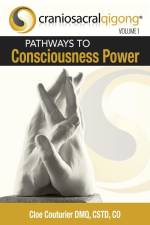 CRANIOSACRALQIGONG Volume 1 af Cloe Couturier Dmq Cst-D Co