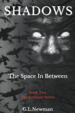 Shadows The Space Inbetween af G. L. Newman