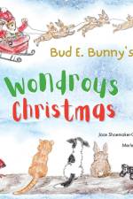 Bud E. Bunny's Wondrous Christmas af Jace Shoemaker-Galloway