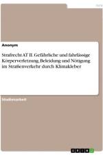 Strafrecht AT II. Gefährliche und fahrlässige Körperverletzung, Beleidung und Nötigung im Straßenverkehr durch Klimakleber af Anonymous