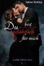 Du bist gefährlich für mich - Dunkle Geheimnisse Teil 1 von 4 af Sabine Richling