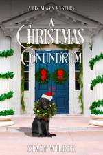 A Christmas Conundrum