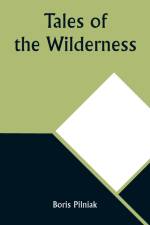 Tales of the Wilderness af Boris Pilniak