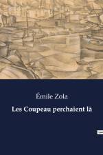 Les Coupeau perchaient là af Emile Zola