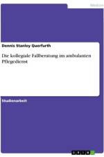 Die kollegiale Fallberatung im ambulanten Pflegedienst af Dennis Stanley Querfurth