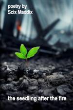 the seedling after the fire af Scix Maddix