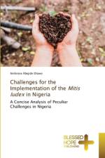 Challenges for the Implementation of the Mitis Iudex in Nigeria af Ambrose Abejide Olowo