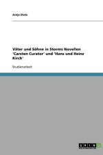 Väter und Söhne in Storms Novellen 'Carsten Curator' und 'Hans und Heinz Kirch' af Antje Dietz