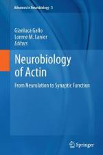 Neurobiology of Actin af Gianluca Gallo
