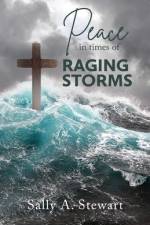 Peace in Times of Raging Storms af Sally A. Stewart