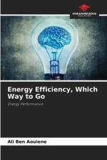 Energy Efficiency, Which Way to Go af Ali Ben Aouiene