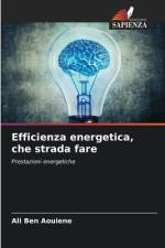Efficienza energetica, che strada fare af Ali Ben Aouiene