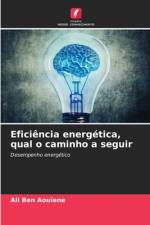 Eficiência energética, qual o caminho a seguir af Ali Ben Aouiene