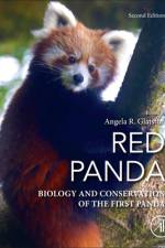 Red Panda af Angela R Glatston