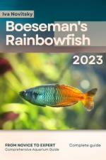 Boeseman's Rainbowfish af Iva Novitsky