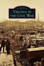 Virginia in the Civil War af Joseph A D'Arezzo