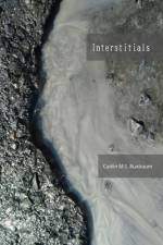 Interstitials af Caitlin M. S. Buxbaum