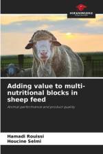 Adding value to multi-nutritional blocks in sheep feed af Hamadi Rouissi