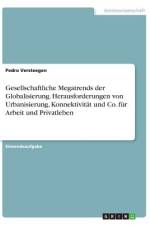 Gesellschaftliche Megatrends der Globalisierung. Herausforderungen von Urbanisierung, Konnektivität und Co. für Arbeit und Privatleben af Pedro Versteegen