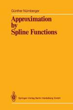 Approximation by Spline Functions af Günther Nürnberger