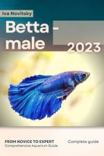 Betta - male af Iva Novitsky