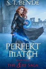 Perfekt Match af S. T. Bende