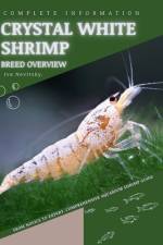 Crystal White Shrimp af Iva Novitsky