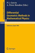 Differential Geometric Methods in Mathematical Physics af Pedro L. Garcia