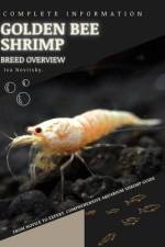 Golden Bee Shrimp af Iva Novitsky
