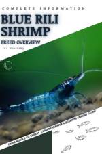 Blue Rili Shrimp af Iva Novitsky