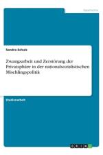 Zwangsarbeit und Zerstörung der Privatsphäre in der nationalsozialistischen Mischlingspolitik af Sandra Schulz