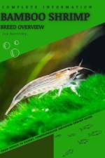 Bamboo Shrimp af Iva Novitsky