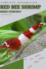 Red Bee Shrimp af Iva Novitsky
