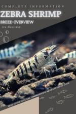 Zebra Shrimp af Iva Novitsky