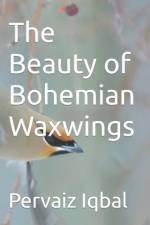 The Beauty of Bohemian Waxwings af Pervaiz Iqbal