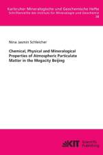 Chemical, Physical and Mineralogical Properties of Atmospheric Particulate Matter in the Megacity Beijing af Nina Jasmin Schleicher