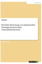 Fair Value Bewertung von immateriellen Vermögenswerten beim Unternehmenserwerb af Frieda von Meding